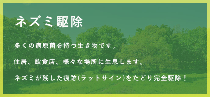 多くの病原菌を持つ生き物です。住居、飲食店様々な場所に生息します。ネズミが残した痕跡(ラットサイン)をたどり完全駆除！