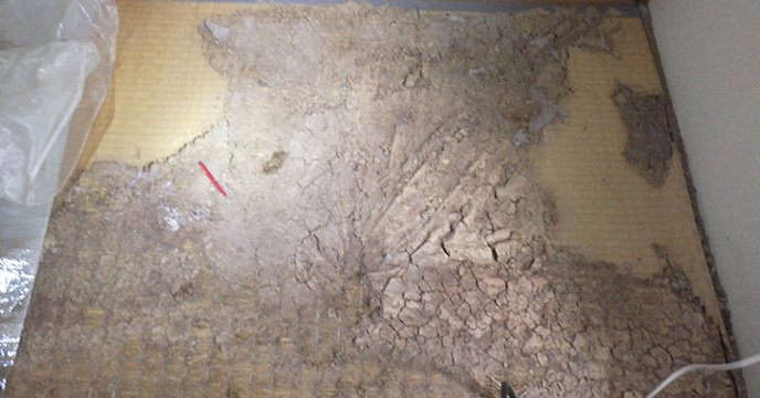 畳シロアリ被害