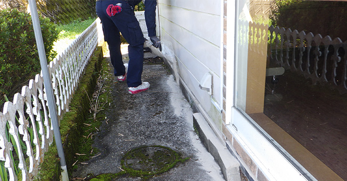 ムカデ、ヤスデ駆除粉剤散布