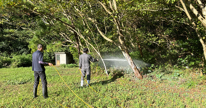 ムカデ、ヤスデ駆除粉剤散布